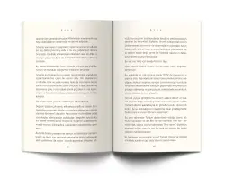 Ayna - 3