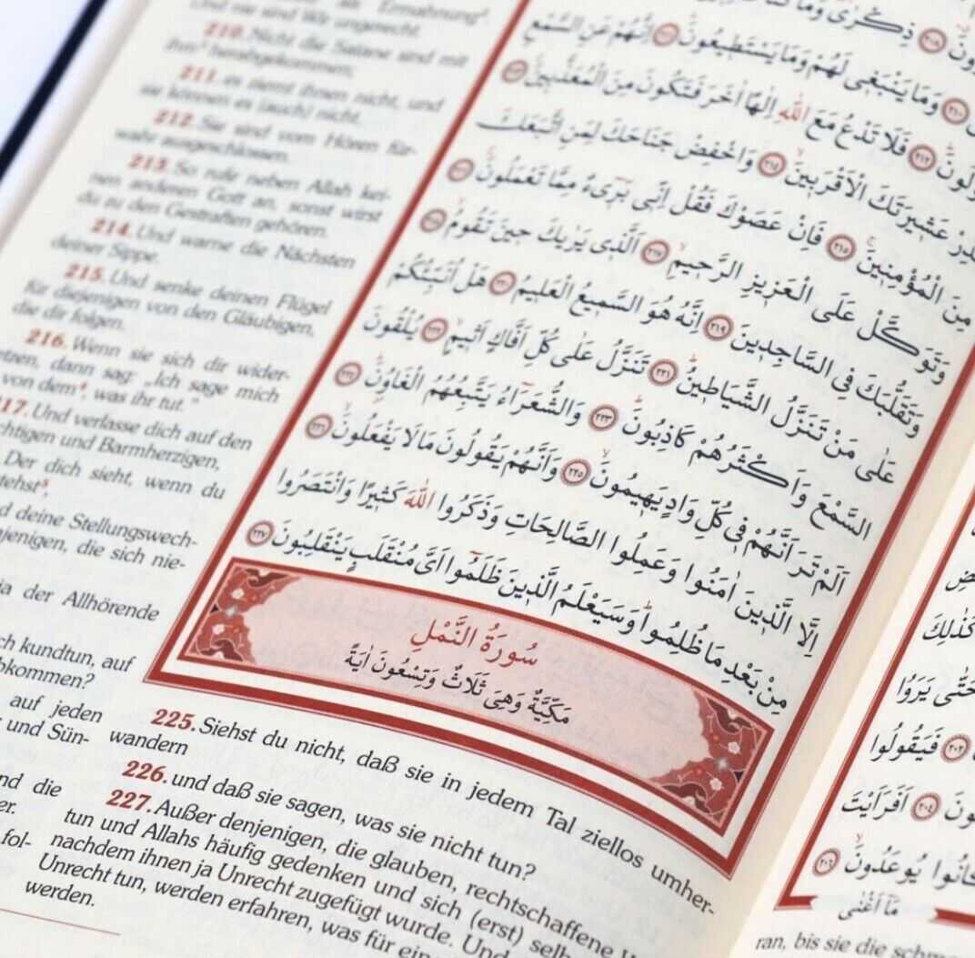 Der Heilige Koran , Arabisch- Deutsch (16x24 cm , Schwarz)