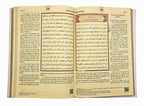 Der Heilige Koran , Arabisch- Deutsch (16x24 cm , Pink)